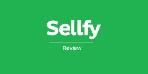 Read more about the article Sellfy Review 2023- Streamlining Your Online Business