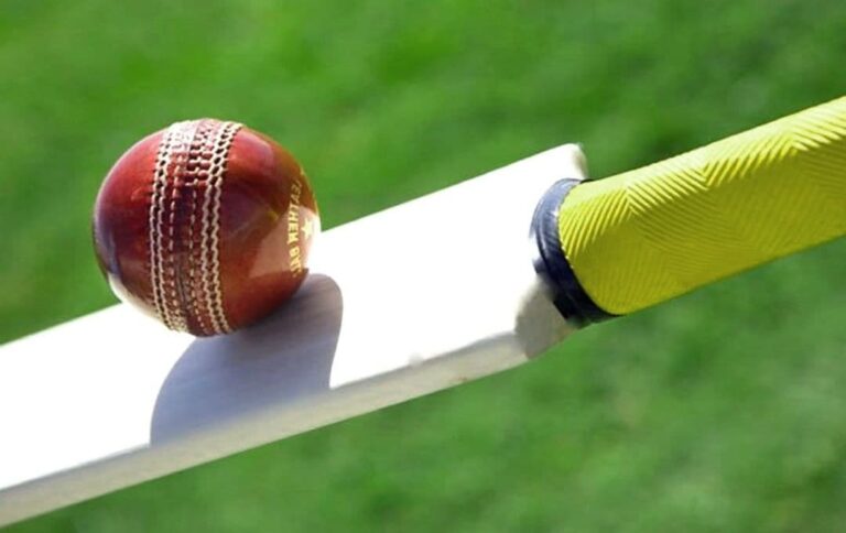 Read more about the article 14 Fun Facts To Know About Cricket